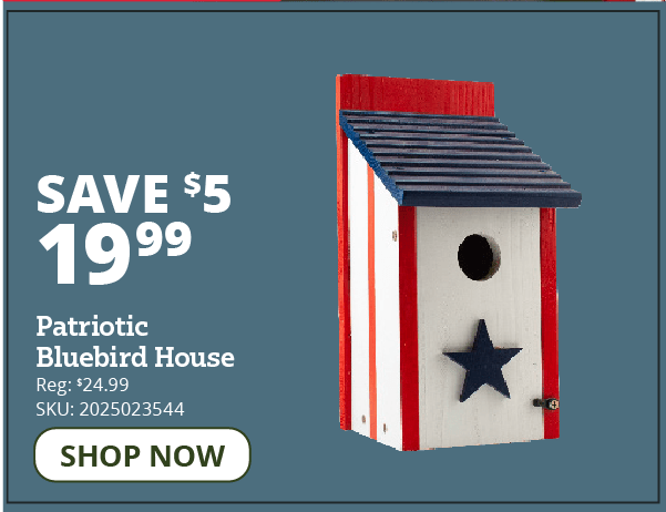 Patriotic Bluebird House