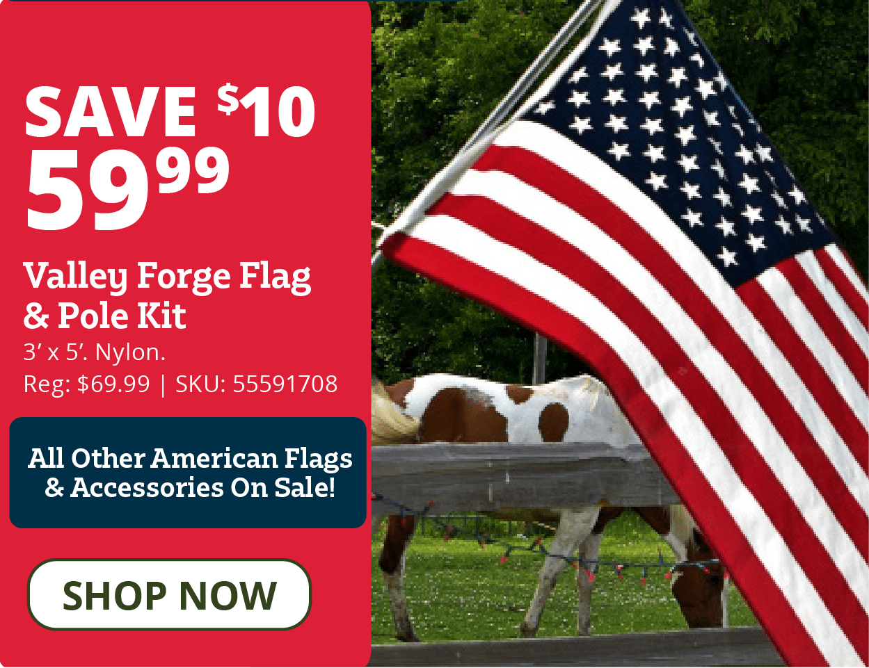 Valley Forge Flag and Pole Kit, Nylon - AA99030