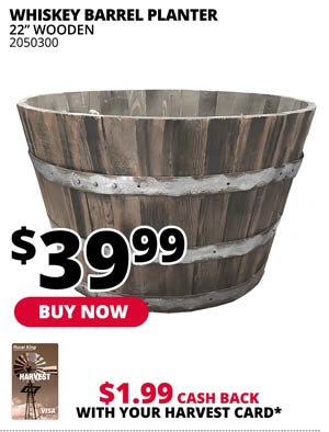 22" Whiskey Barrel Planter