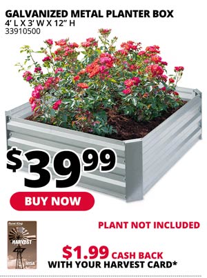 Galvanized Metal Planter Box