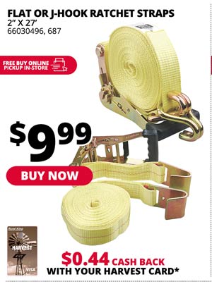 Flat or J-Hook Ratchet Straps 2"x27'