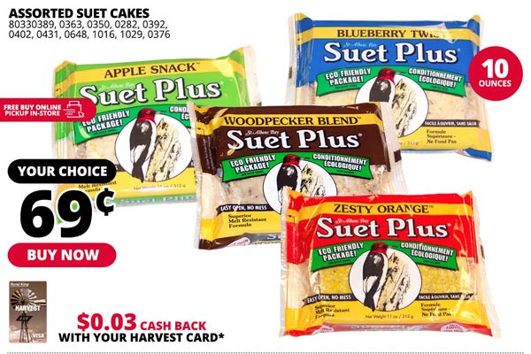 Assorted Suet Cakes 10 oz.