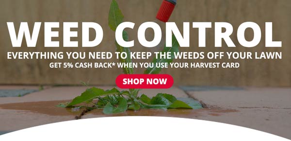 Weed Control | Shop Everything You Need To Keep The Weeds Off Your Lawn