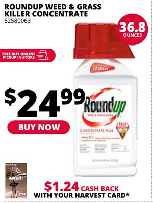 Roundup Weed & Grass Killer Concentrate 36.8 oz.