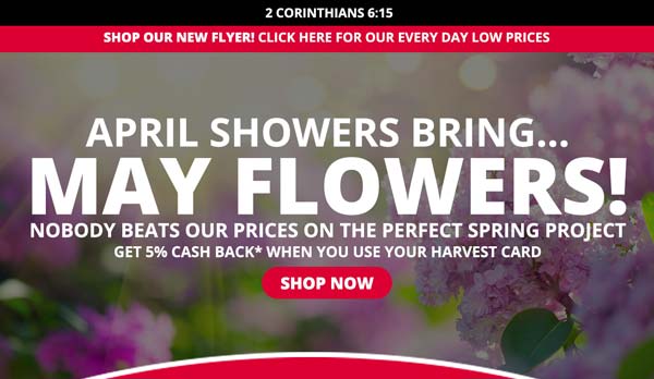 Shop Our New Flyer! Click Here For Our Every Day Low Prices