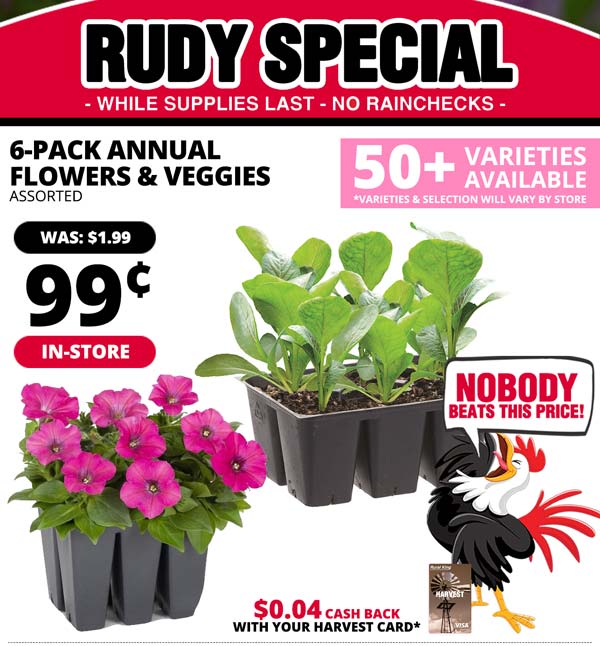 [IN-STORE] RUDY SPECIAL: 6-Pack Annual Flowers & Veggies