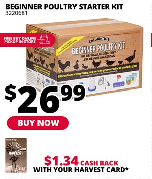 Beginner Poultry Starter Kit