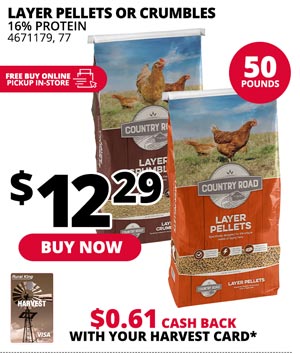 Layer Pellets or Crumbles 50 lbs.
