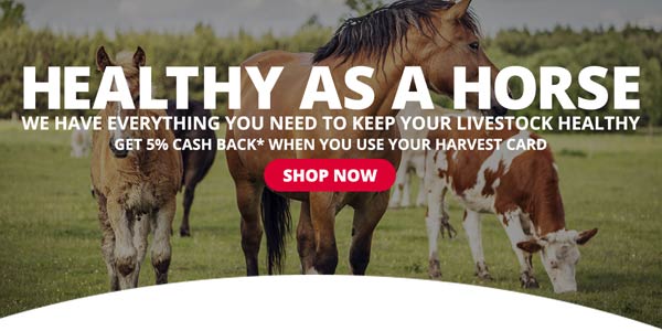 Shop Everything You Need To Keep Your Livestock Healthy >