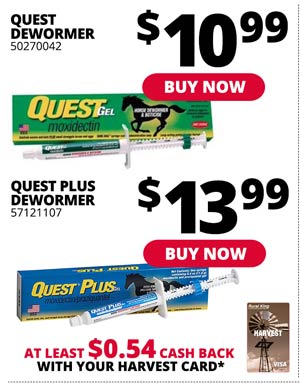 Quest Dewormer or Quest Plus Dewormer