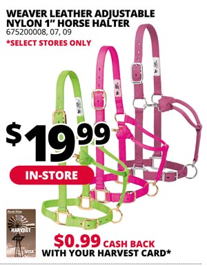 [IN-STORE] Weaver Leather Adjustable Nylon 1 in. Horse Halter