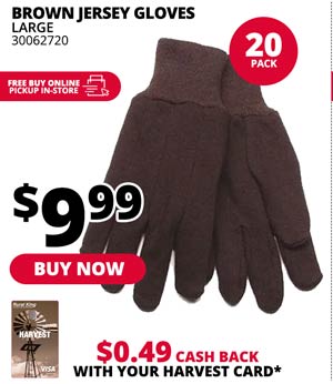 Brown Jersey Glove 20-Pack