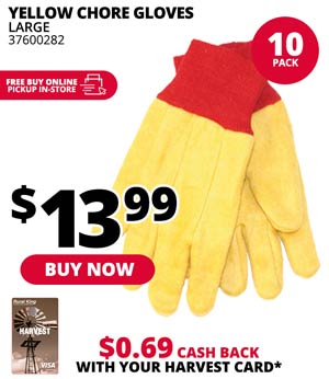 Yellow Chore Gloves 10-Pack