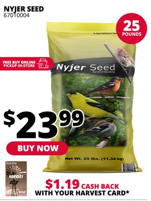 Nyjer Seed 25 lbs.