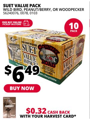 Suet Value 10-Pack