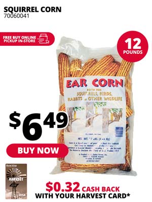 Squirrel Corn 12 lbs.