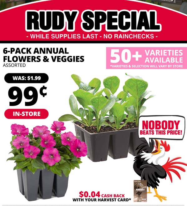 [IN-STORE] RUDY: 6-Pack Annual Flowers & Veggies [While Supplies Last]