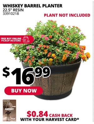 22.5 in. Whiskey Barrel Planter