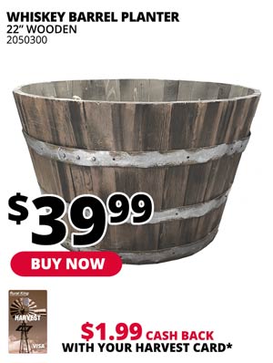 22 in. Whiskey Barrel Planter
