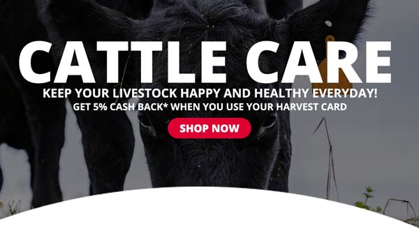 Keep Your Livestock Happy & Healthy Everyday! Shop Cattle Care >