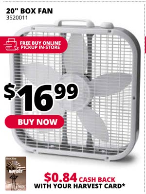 20 in. Box Fan