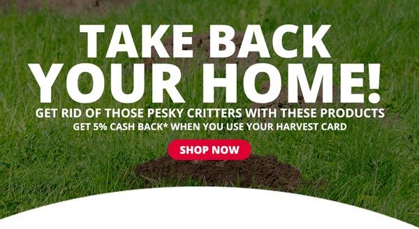 Take Back Your Home! Get Rid Of Those Pesky Critters With These Products!