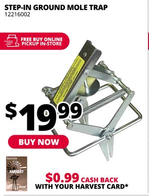 Step-In Ground Mole Trap