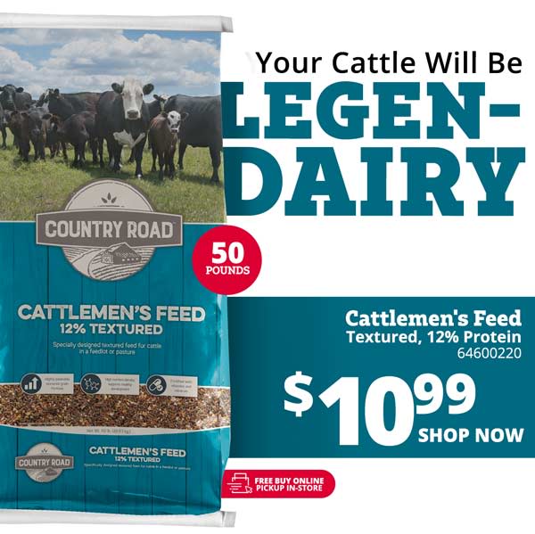 Warm Chickens Are Happy Chickens Rural King