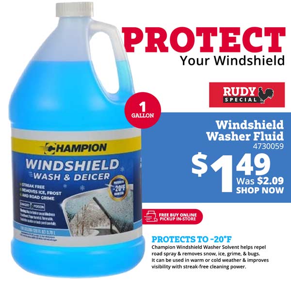 Champion Windshield Washer Solvent -20°