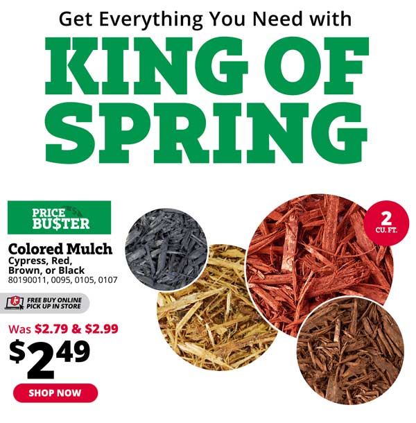 Price busters online best sale