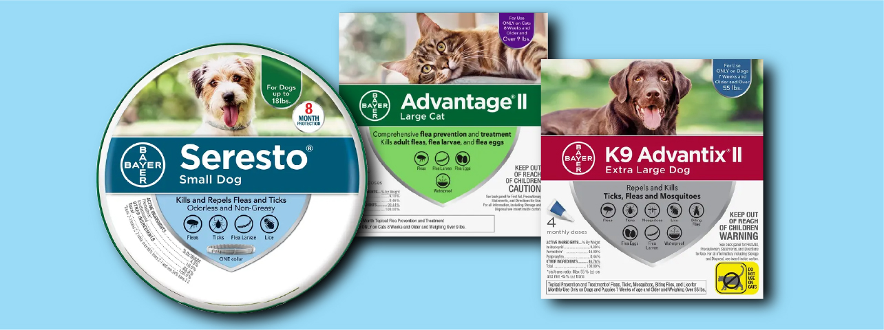Flea & Tick Promo