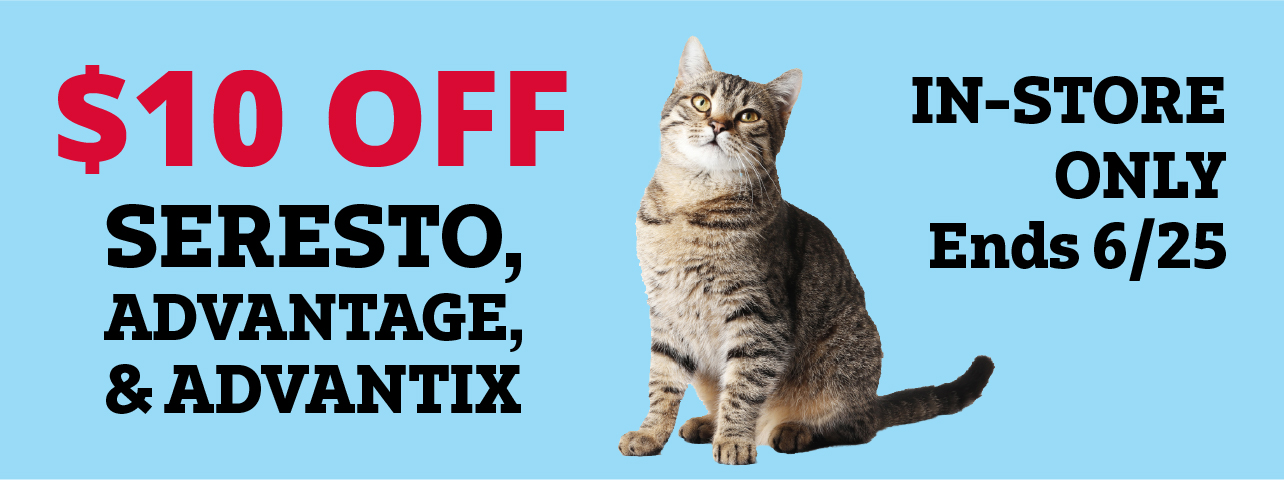 Flea & Tick Promo