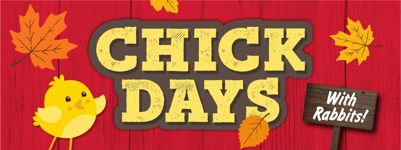 Labor Day Hero Banner