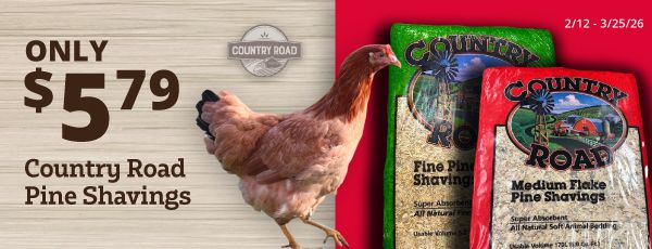 Labor Day Hero Banner