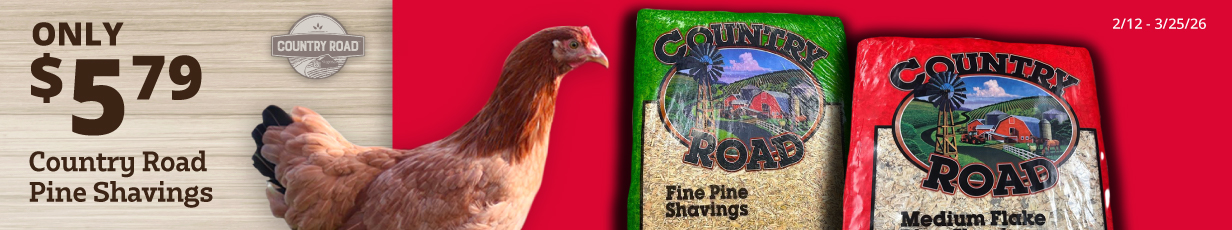 Labor Day Hero Banner