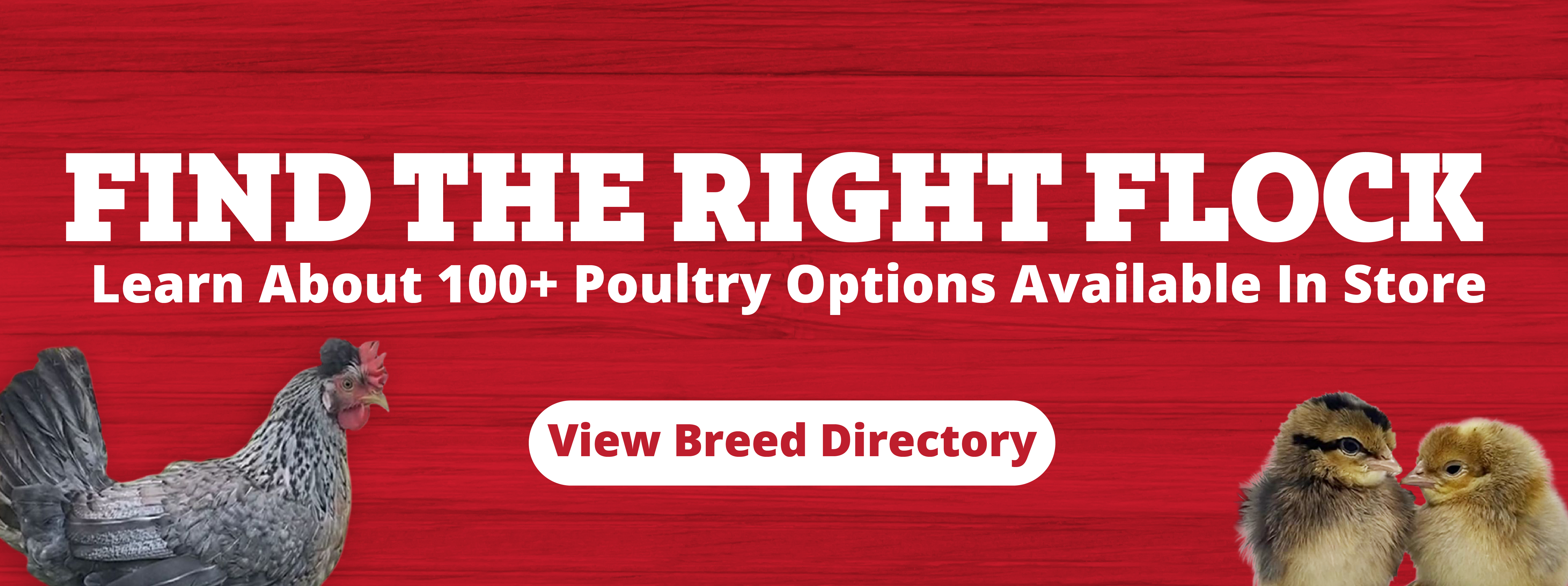 Labor Day Hero Banner