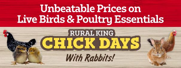 Labor Day Hero Banner