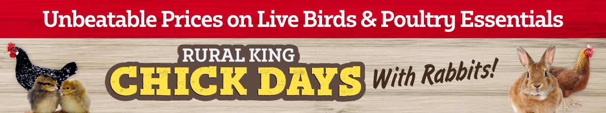 Labor Day Hero Banner