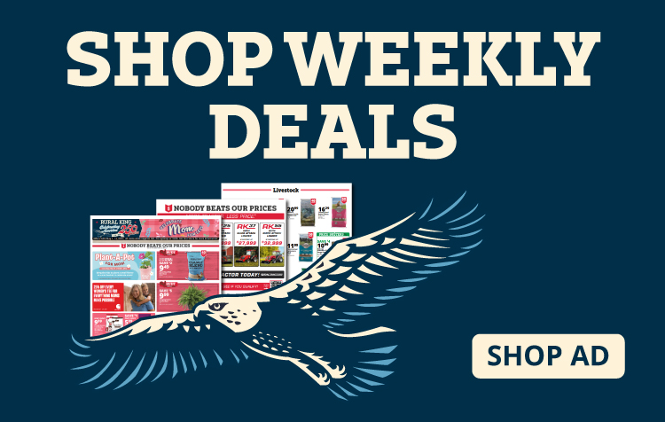 Weekly Ad