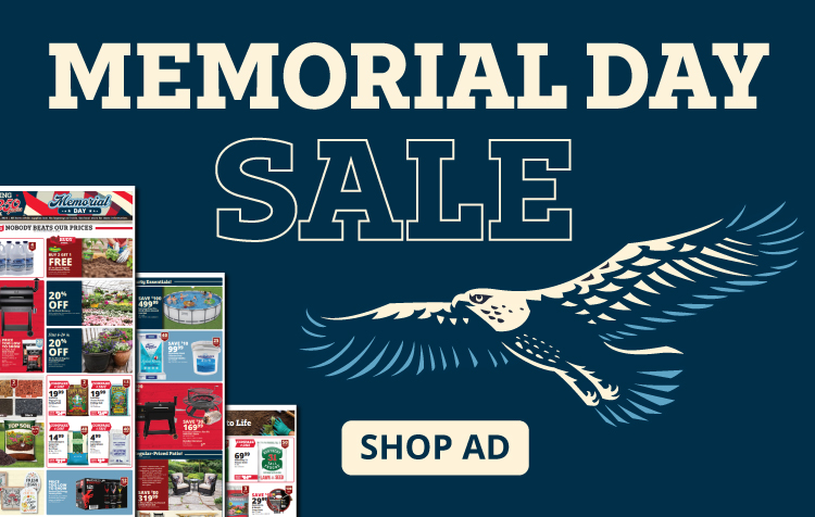 Weekly Ad
