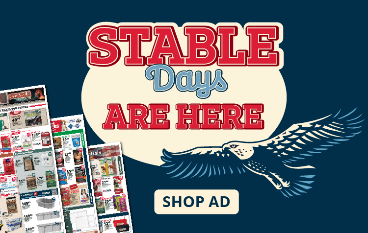 Weekly Ad