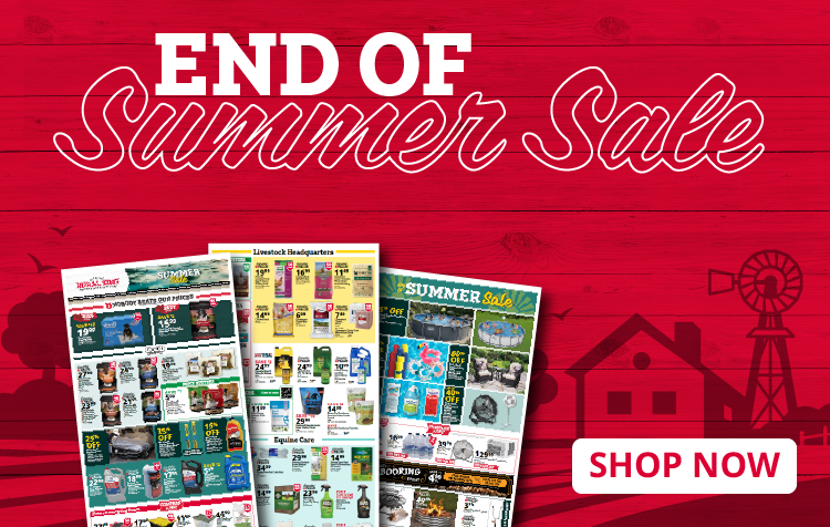 Weekly Ad
