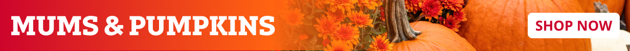 Desktop