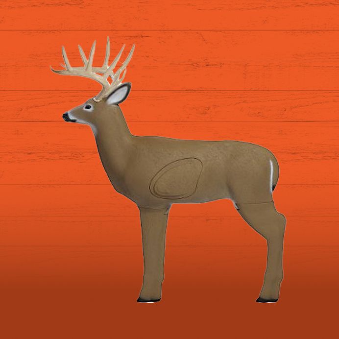 Decoys & Targets