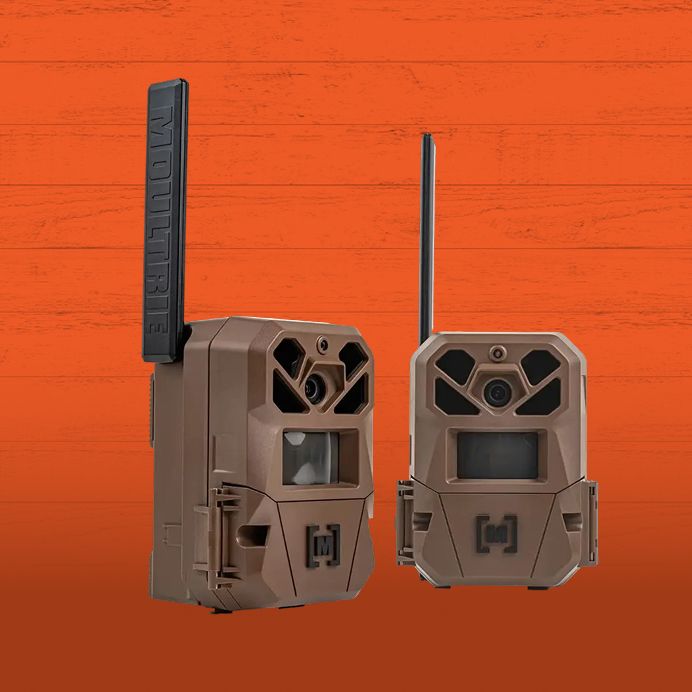 Trail Cameras