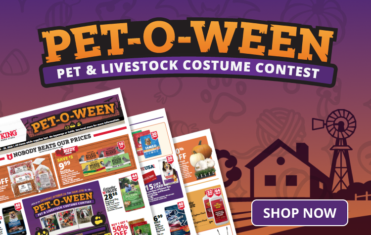 Weekly Ad