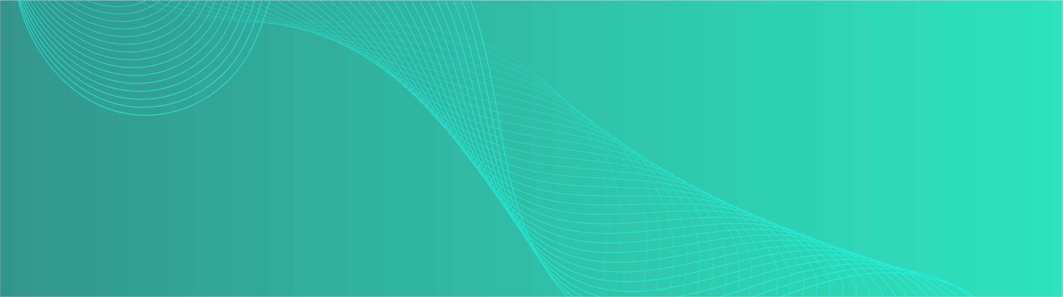 Service Background