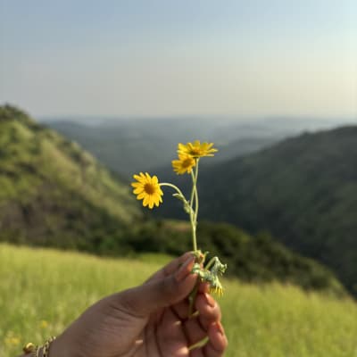600
