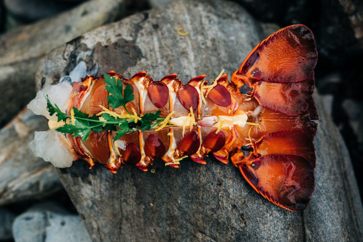Southern Rock Lobster from King Island