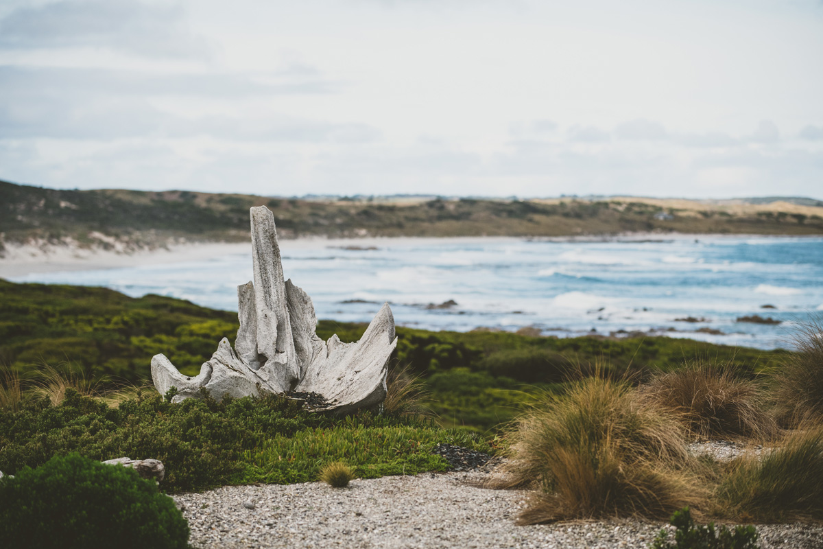 Coastal walking landscape on King Island